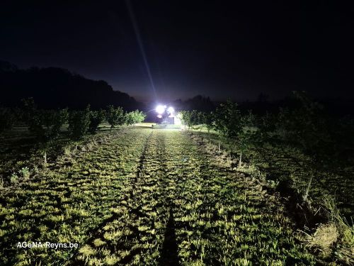 Nos photographies sur le terrain