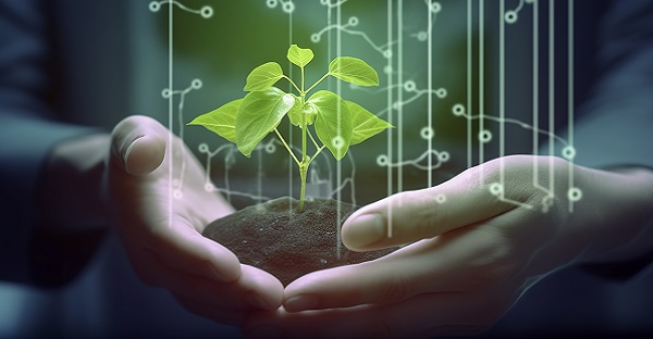 De la terre à votre récolte : AGeNa est votre prestataire et partenaire