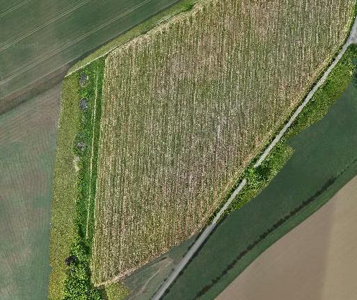 Orthophoto