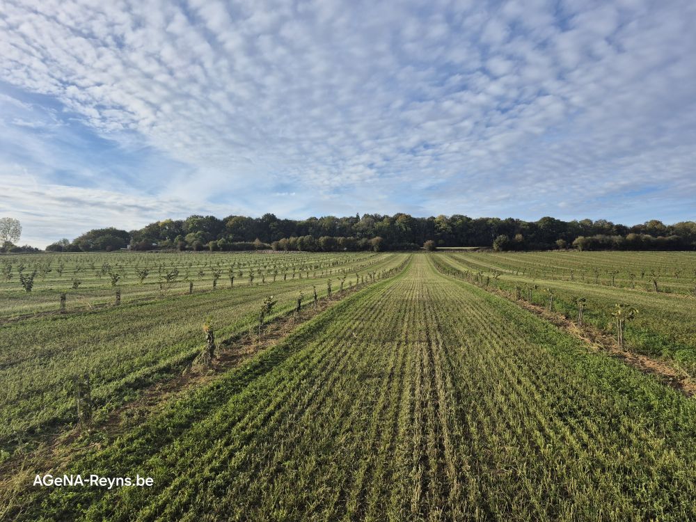 Dernier désherbage de l'année