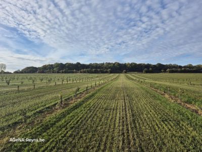 Dernier désherbage de l'année