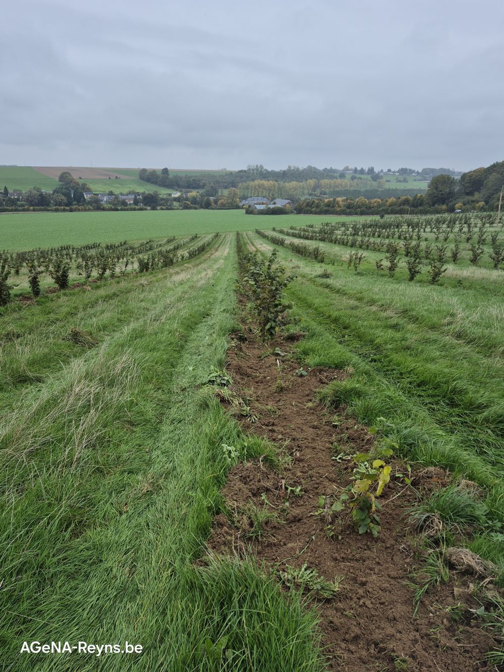 Une transformation remarquable en moins d'un an !