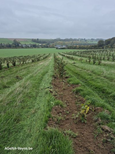 Une transformation remarquable en moins d'un an !