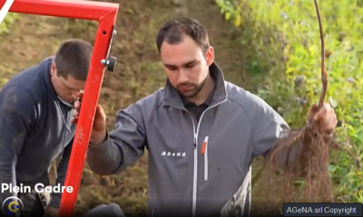 Fin des plantations 2025